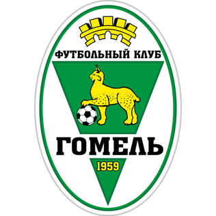 FC Gomel FC Gomel logo